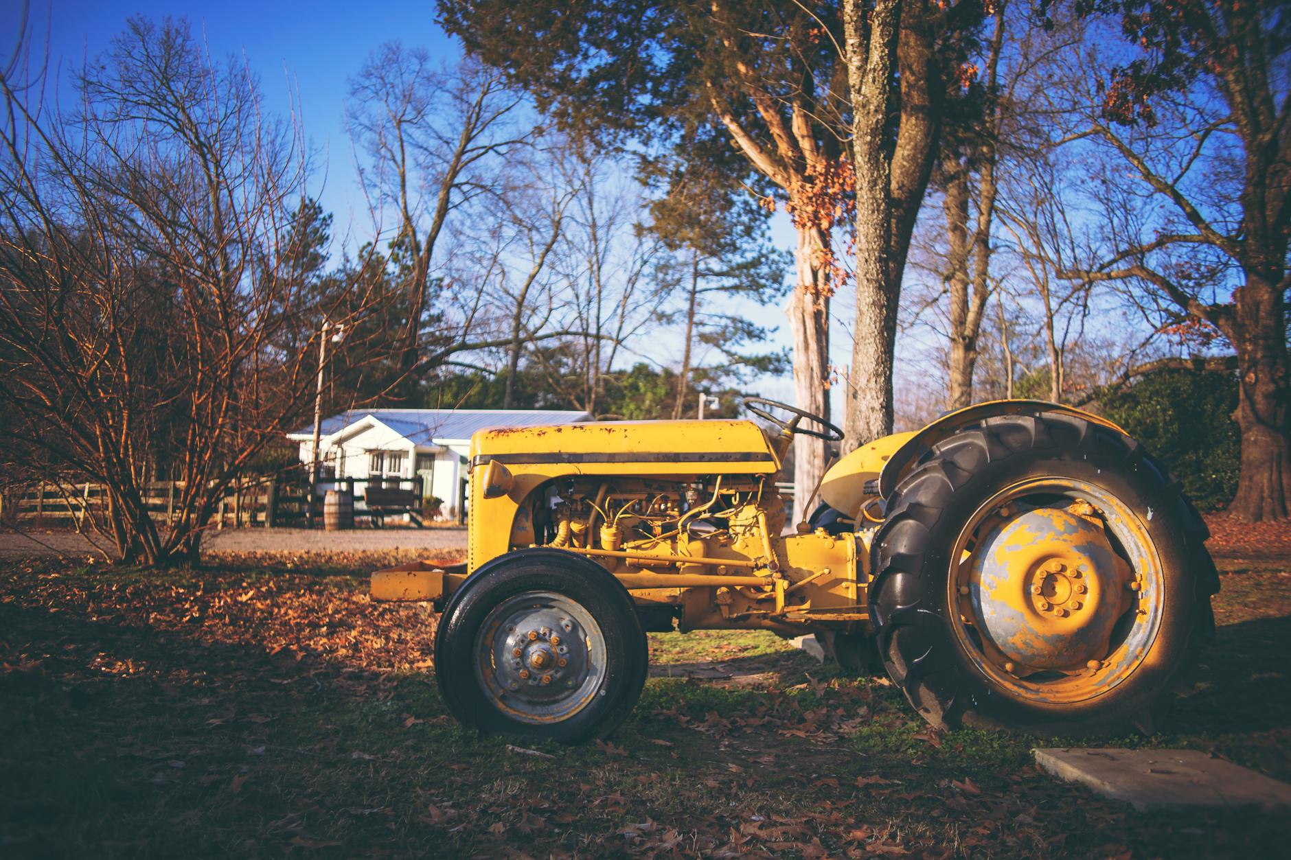 Read more about the article Why are People Boycotting Tractor Supply