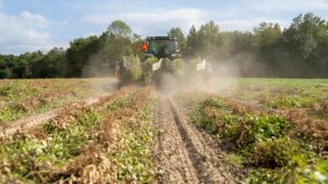 Read more about the article Bush Hogging: Everything You Need to Know